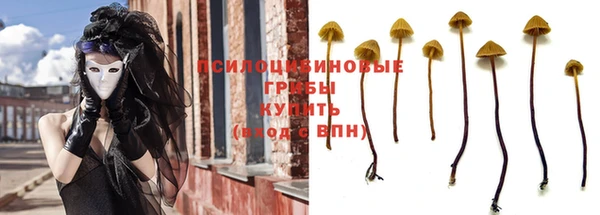 метадон Няндома