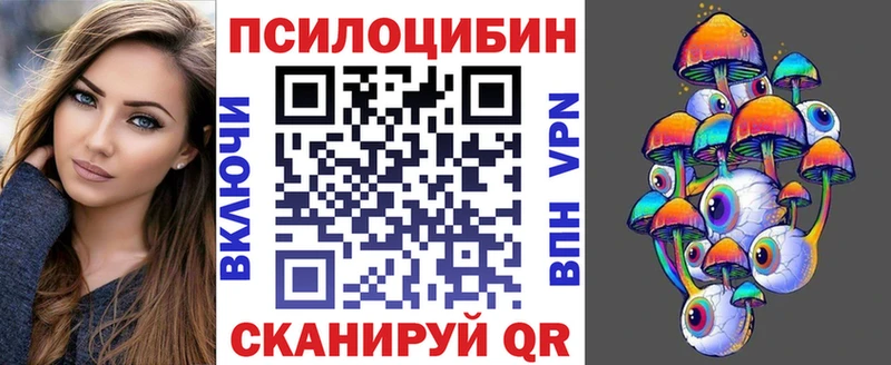Псилоцибиновые грибы Cubensis  купить наркоту  Георгиевск 